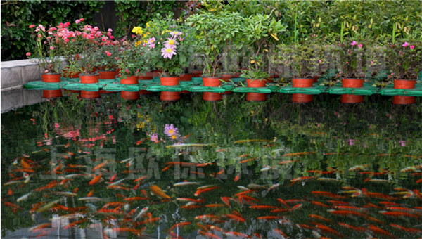 多年生抗风浪型生态浮岛
