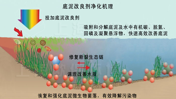 底泥改良剂
