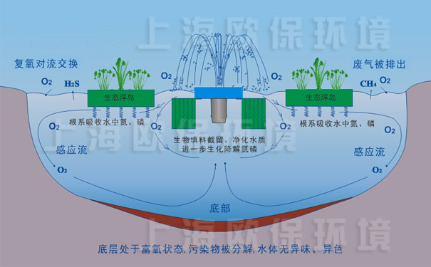 氧化塘增容净化装置